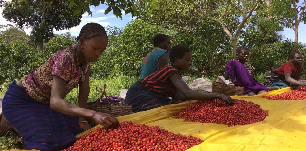 ethio-2347993_1920-1920×1440-1